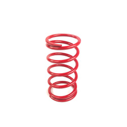 Coil Spring 2.5ID X 6 X 100LBS