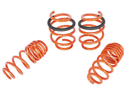 aFe CONTROL Lowering Springs